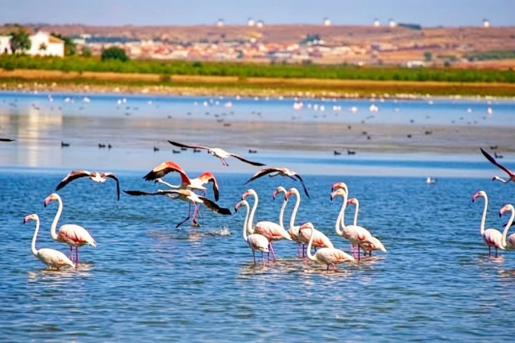 laguna de Manjavacas